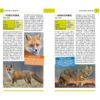 Természetbarátok zsebkönyve – Emlősök
